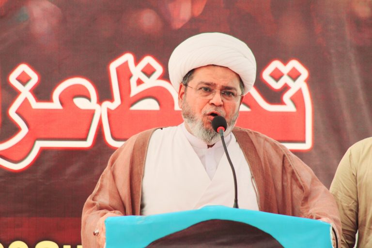 الحكومة فشلت في توفير الحماية والتسهيلات السفرية للزائرين، العلامة شبير ميثمي